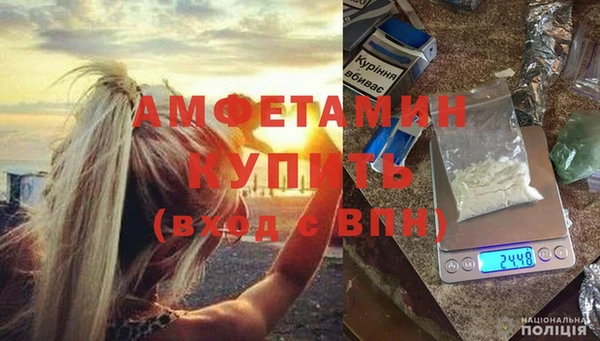 индика Волоколамск